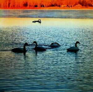 Meet your Posher, Eme